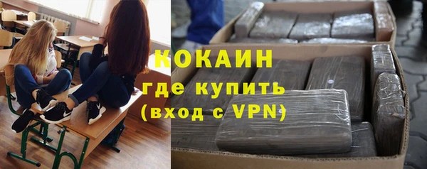 винт Алзамай