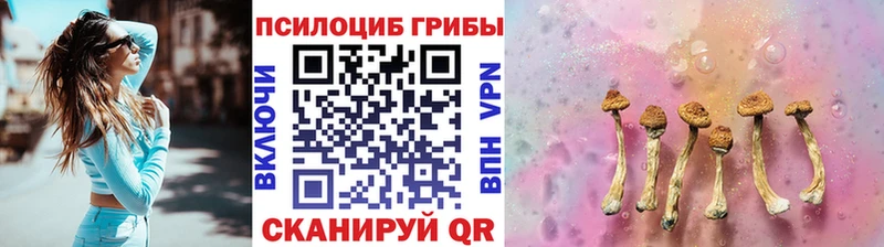 Псилоцибиновые грибы мухоморы  цена наркотик  Берёзовка 